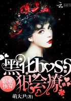 ְҵ�촩���ڻ�boss�ݻ���