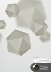 ������ʦ