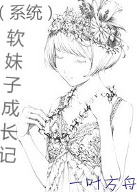 ��ϵͳ�������ӳɳ���