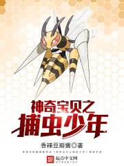 ����֮��������